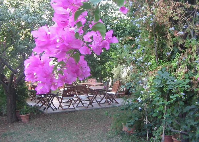 Hotel Gulec